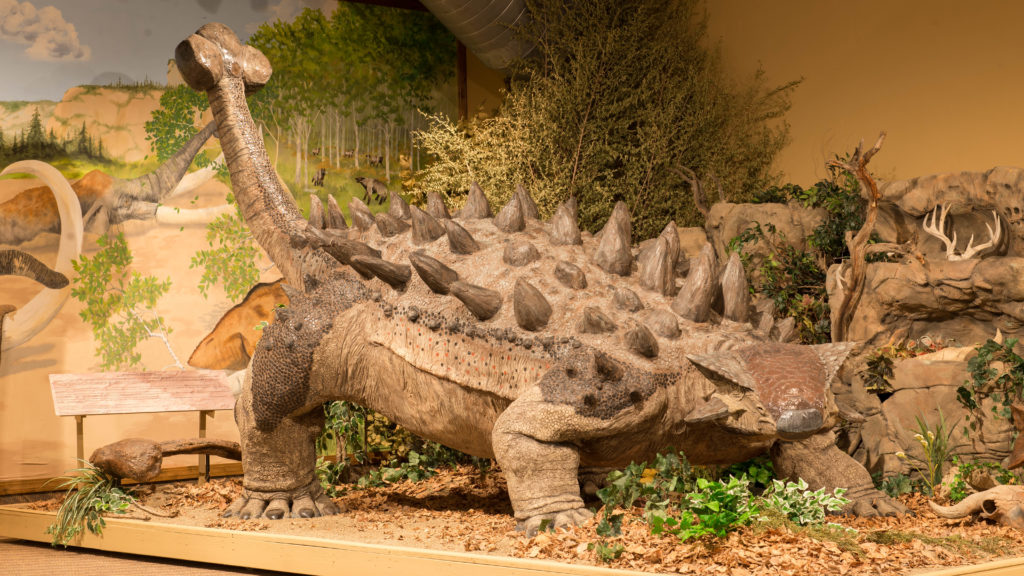 largest dinosaur fossil
